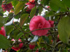 DSC00322dxo1
