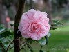 DSC00326dxo1