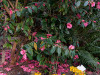 DSC00359dxo1
