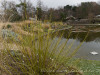 DSC00311dxo1