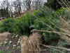 DSC00314dxo1
