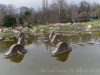 DSC00370dxo1