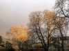 220311_iPhone7833dxo1