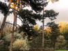 220311_iPhone7837dxo1