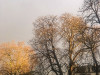 220311_iPhone7838dxo1