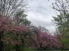 220404_iPhone7970dxo2