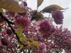 220404_iPhone7972dxo2