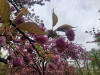 220404_iPhone7974dxo2