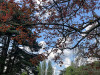 220419_iPhone8125dxo1