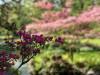 220419_iPhone8139dxo1