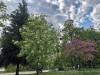 220426_iPhone8203dxo1