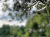 220426_iPhone8210dxo1