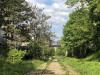 220503_iPhone8354dxo1
