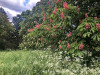 220503_iPhone8369dxo1