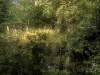 220729_iPhone8664dxo1