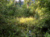 220729_iPhone8668dxo1