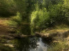 220729_iPhone8670dxo1