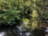 220729_iPhone8673dxo1