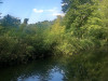 220729_iPhone8685dxo1