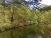 220729_iPhone8686dxo1