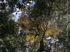 220730_iPhone8721dxo2