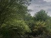220804_iPhone8786dxo1