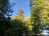 220809_iPhone8809dxo1