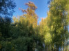 220809_iPhone8811dxo1