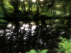 220809_iPhone8835dxo1