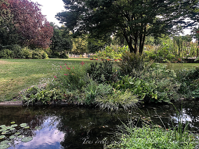 220814_iPhone9016dxo1
