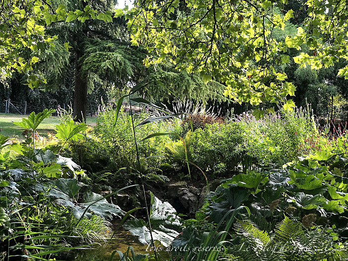 220814_iPhone9020dxo1