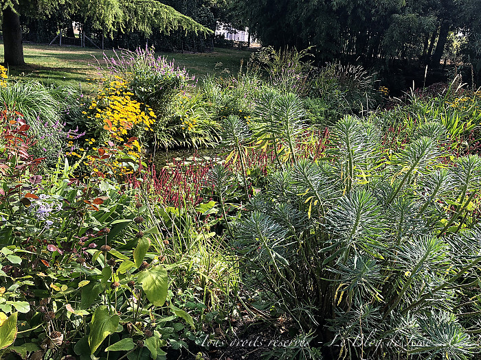 220814_iPhone9021dxo1