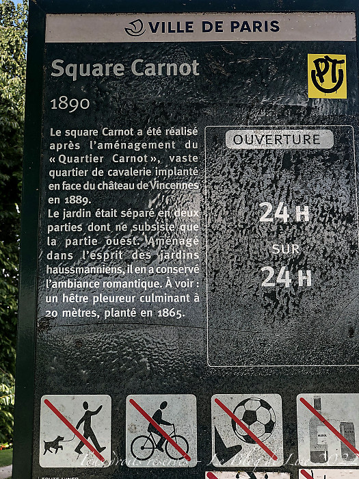 220814_iPhone9027dxo1