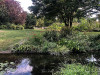 220814_iPhone9016dxo1