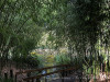220814_iPhone9024dxo1