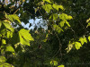 220820_iPhone9160dxo1