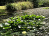 220821_iPhone9167dxo1