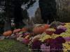 Photo221121_iPhone9480dxoa