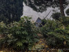 Photo221121_iPhone9481dxoa