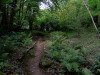DSC00826