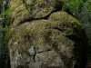 DSC00835