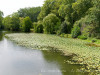 DSC00890