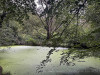230823_iPhone1161