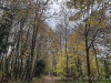 231116_iPhone1361dxo