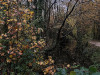 231116_iPhone1379dxo