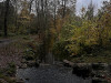 231116_iPhone1380dxo