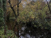 231116_iPhone1381dxo