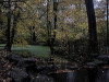 231116_iPhone1382dxo