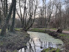 240304_iPhone2021dxo