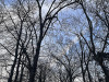240304_iPhone2022dxo